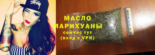молекула духа Новодвинск