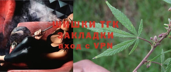 прущие грибы Новокубанск