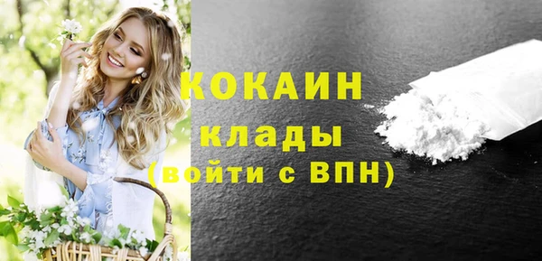 молекула духа Новодвинск