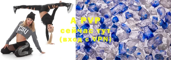 a pvp Новозыбков