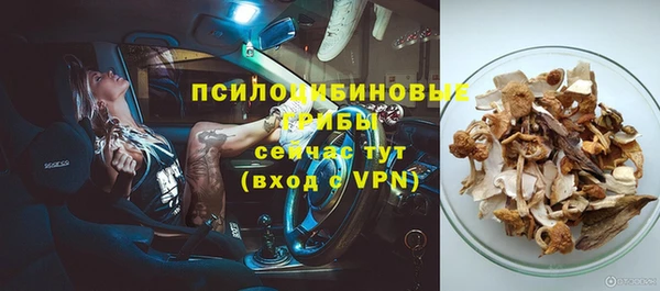 прущие грибы Новокубанск