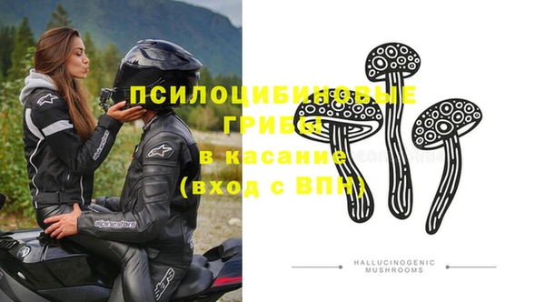 молекула духа Новодвинск