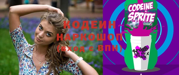 молекула духа Новодвинск