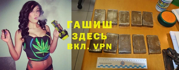 a pvp Новозыбков