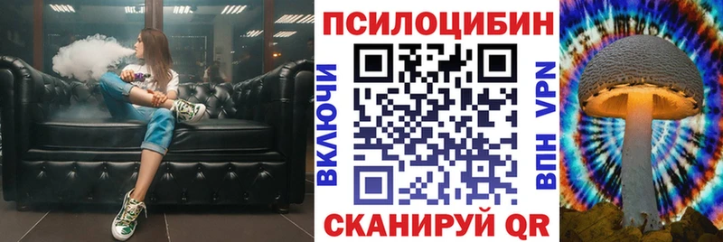 Купить где  Хилок  Псилоцибиновые грибы ЛСД 